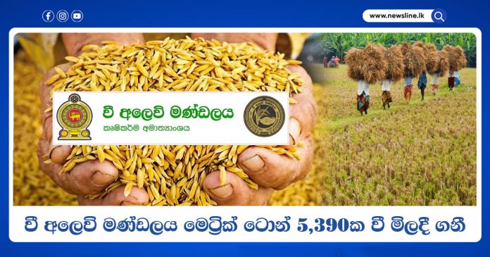 Paddy Marketing Board