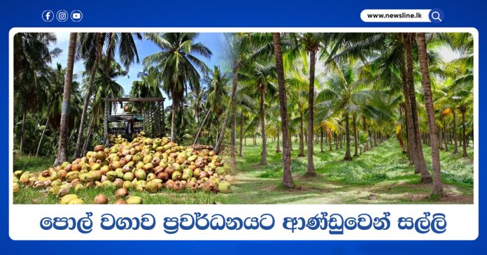 Coconut Land Owners