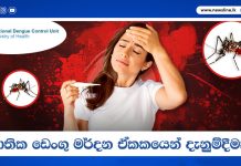 ජාතික ඩෙංගු මර්දන ඒකකයෙන් දැනුම්දීමක්