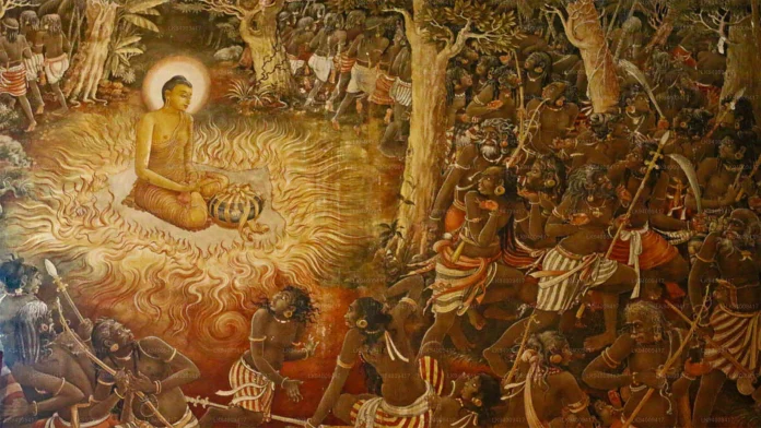 BINARA POYA