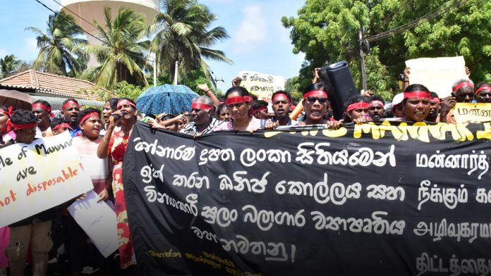 mannar