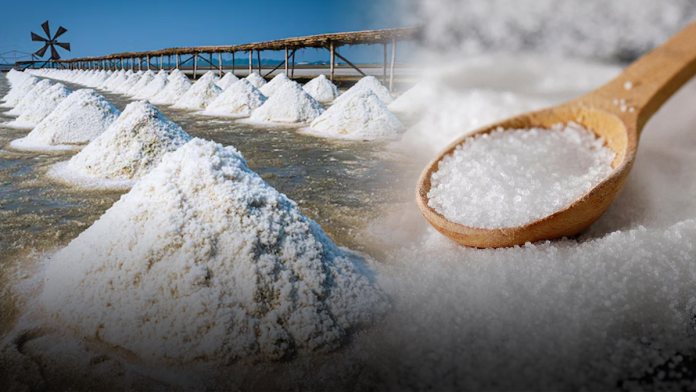 salt production in sri lanka