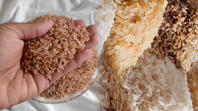 rice