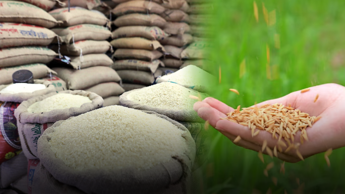 Rice Prices