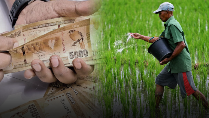 Fertilizer Subsidy