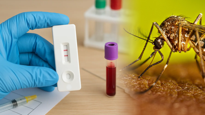 Dengue