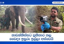 කාවන්තිස්සට ප්රතිකාර කල වෛද්ය ඉසුරු ඉල්ලා අස්වෙයි