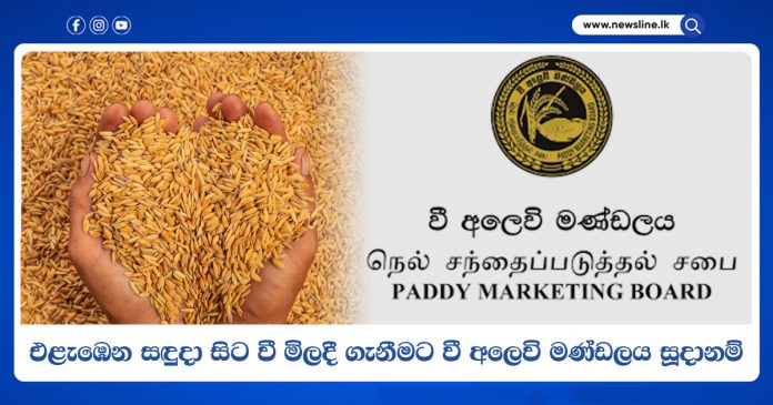 Paddy Marketing Board