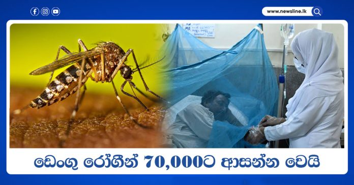 Dengue