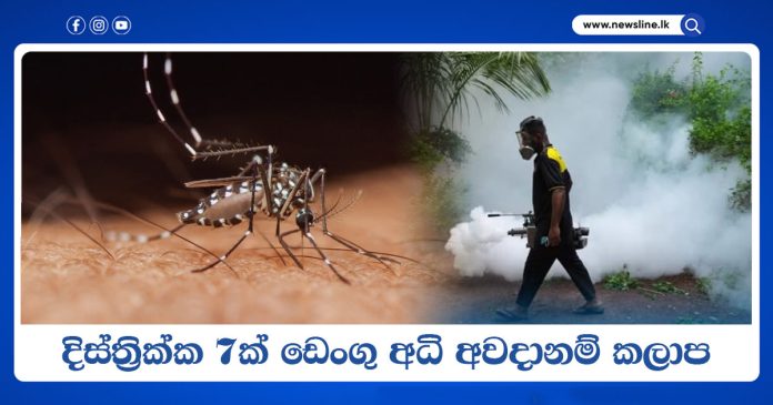 Dengue