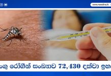 ඩෙංගු රෝගීන් සංඛ්යාව 72,430 දක්වා ඉහළට